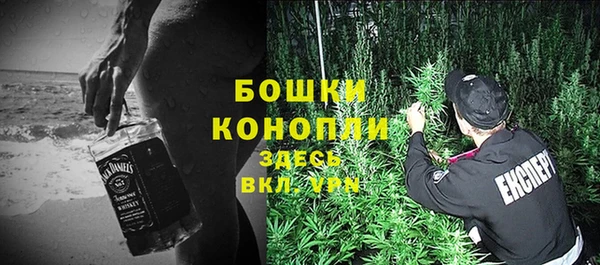 стаф Бронницы