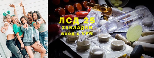 стаф Бронницы